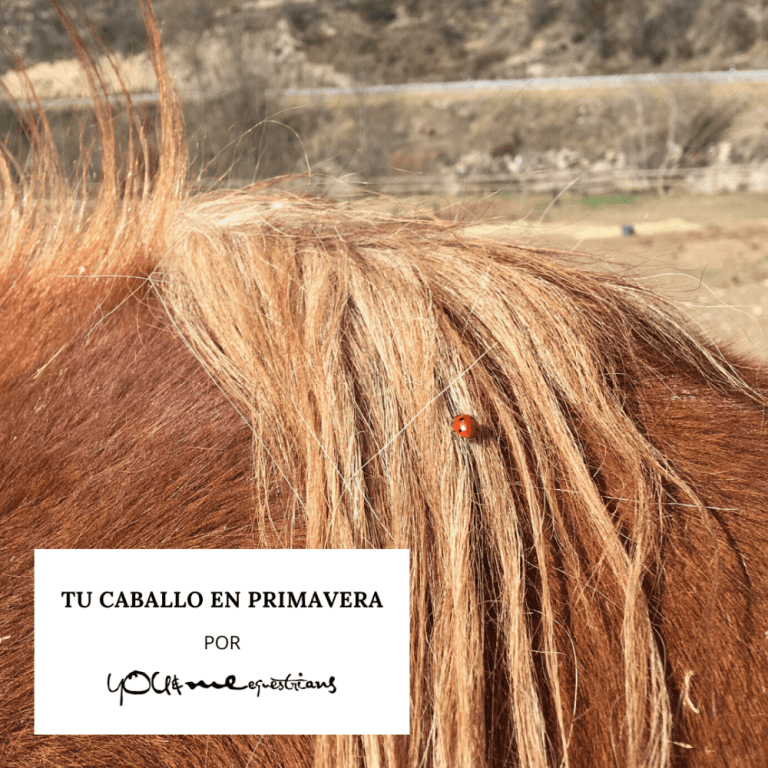 Tu Caballo en Primavera