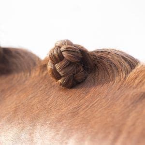 QHP Barra de cera para trenzar