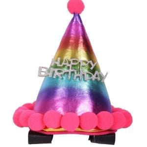 QHP Sombrero de Cumpleaños para Caballo - ARCO IRIS