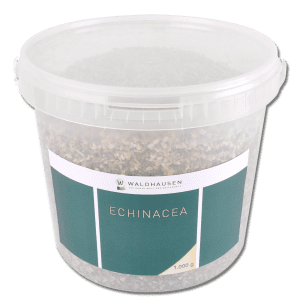 WALDHAUSEN Equinácea