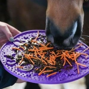Alternative view of LIKIT Graze Maze