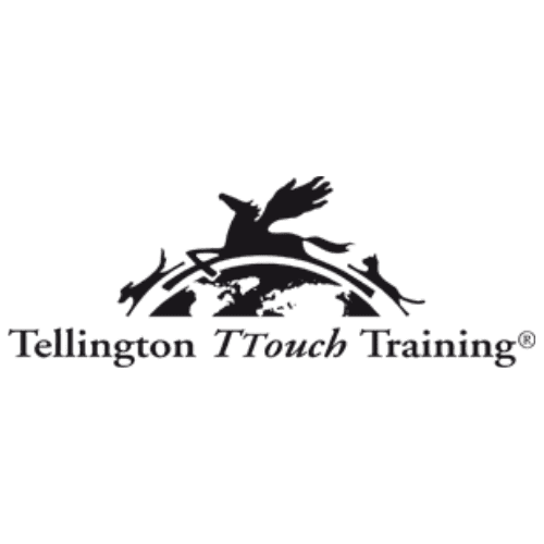 Logo TELLINGTON